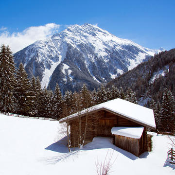 Pinzgau