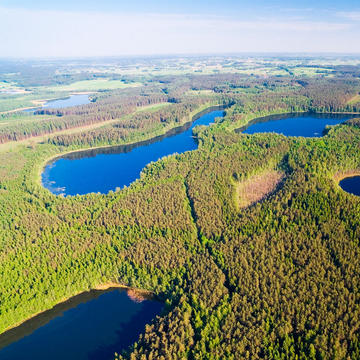 Mazury