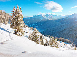 Urlaub Ferienhaus Zillertal
