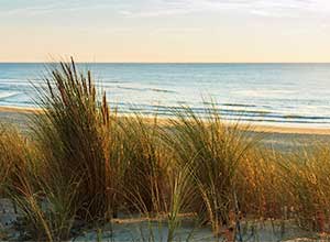 Urlaub Ferienhaus Landes