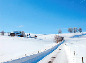 Germany Winter