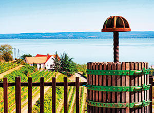 Urlaub Ferienhaus Balaton
