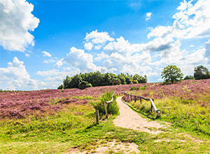 Ferienhaus Drenthe Urlaub