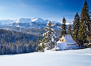 Slovakia Winter