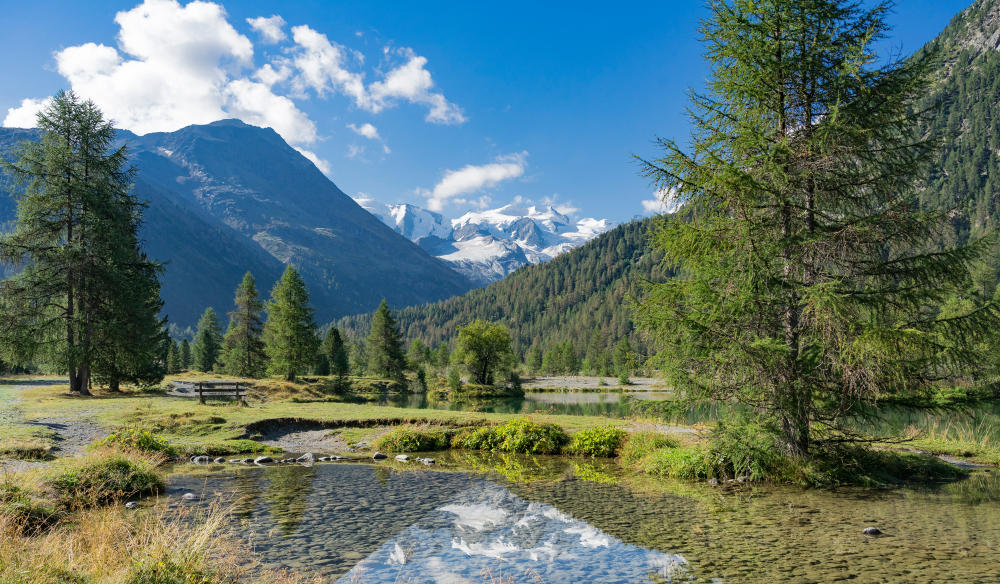 Alpenpanorama bij Pontresina