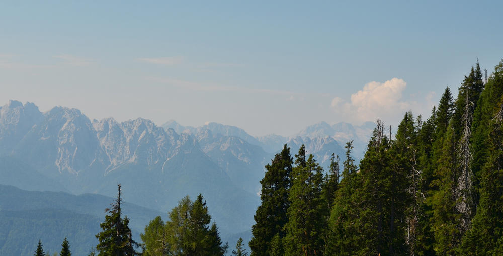 Oostenrijk Karinthië Velden am Wörthersee Rosegg Dierenpark