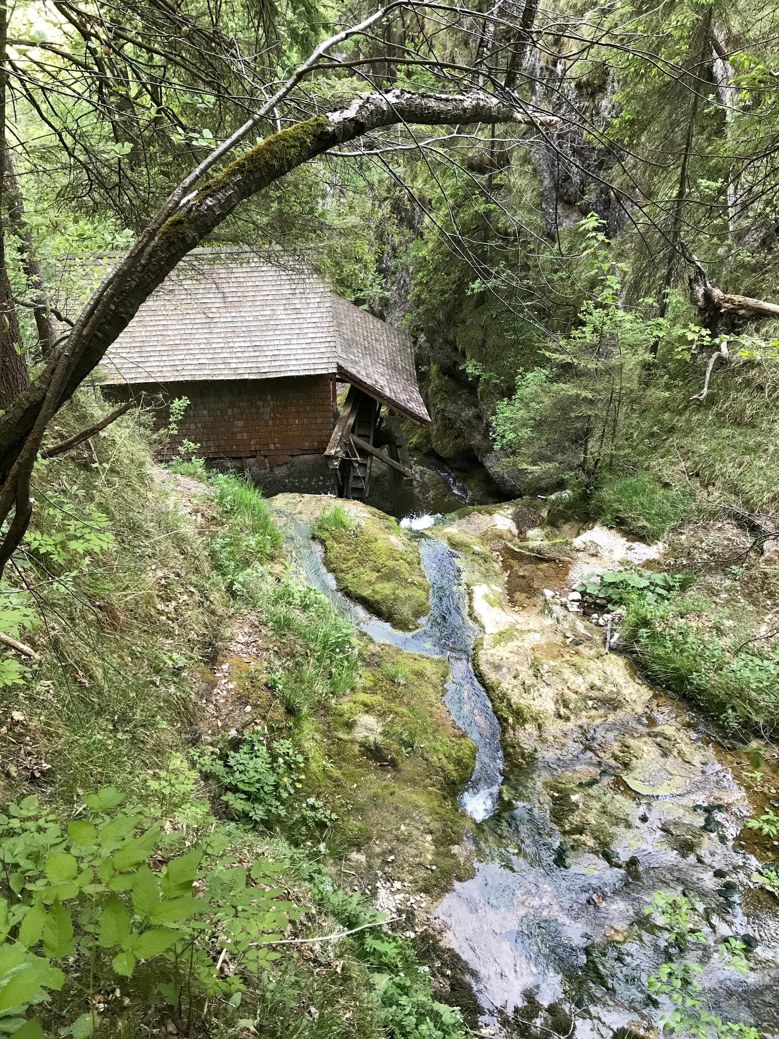 Mühlen-Wasserfälle (Ebenau, Österreich)