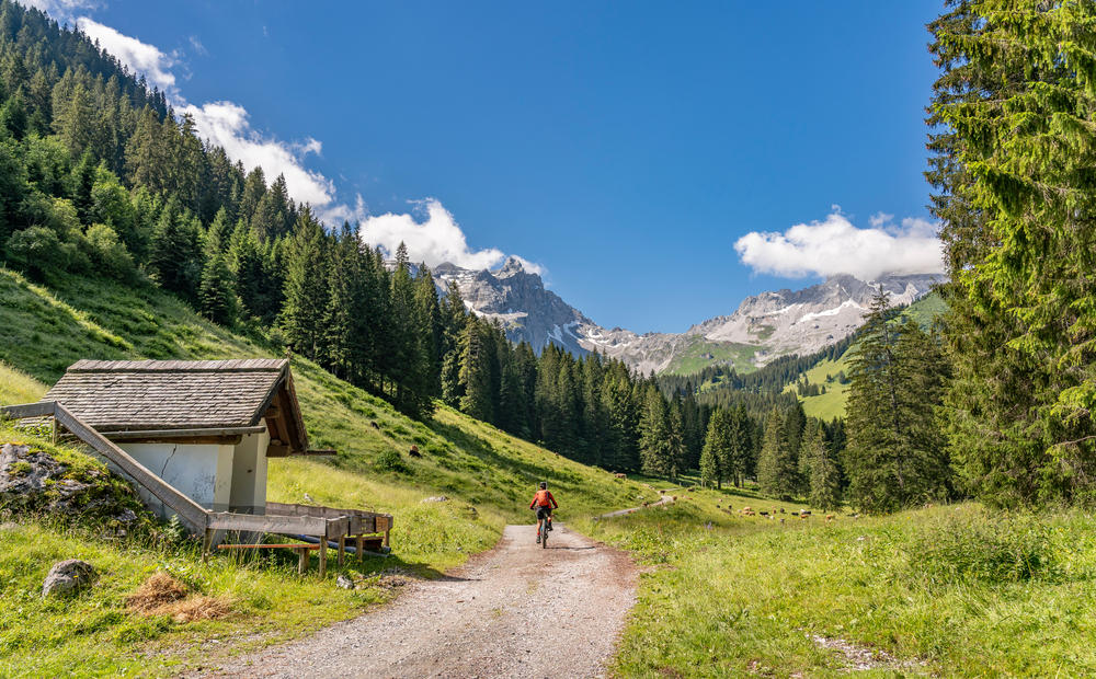 Autriche Sankt Gallenkirch Montafoner Steinschafweg