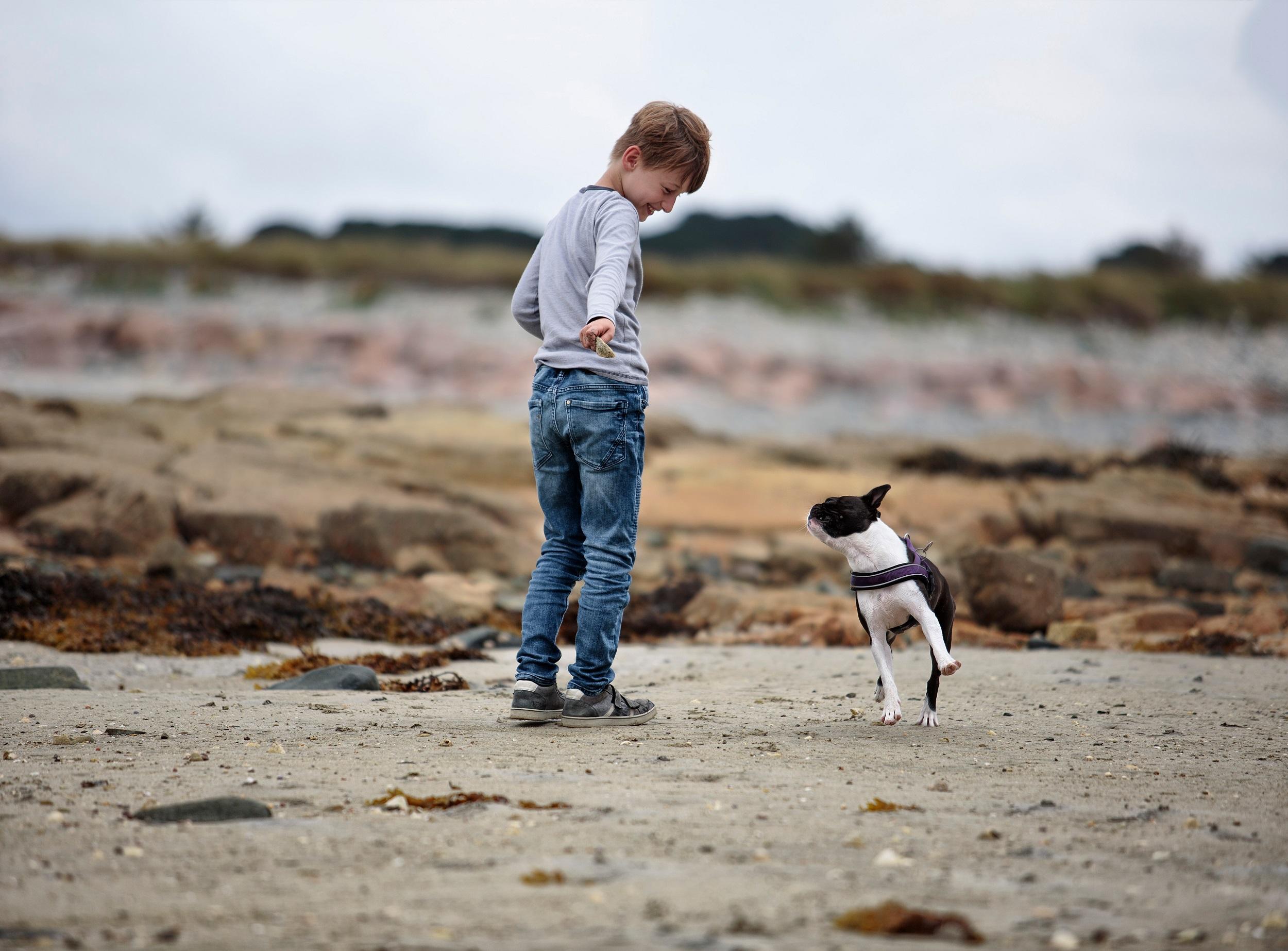 Junge und Hund spielen am Strand