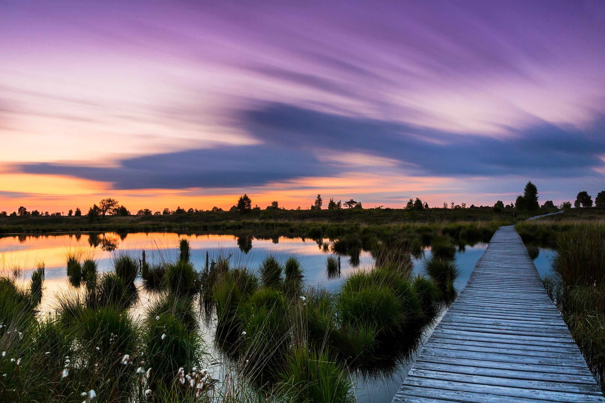 Belgien Nationalpark Hohes Venn