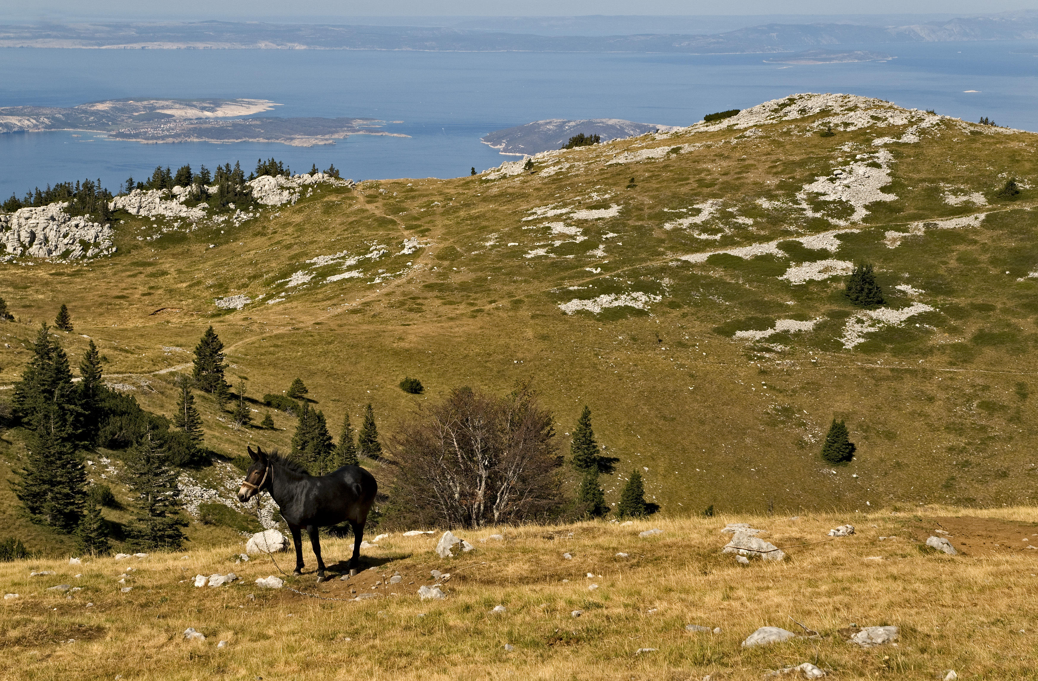 Kroatien Nationalpark Nördlicher Velebit