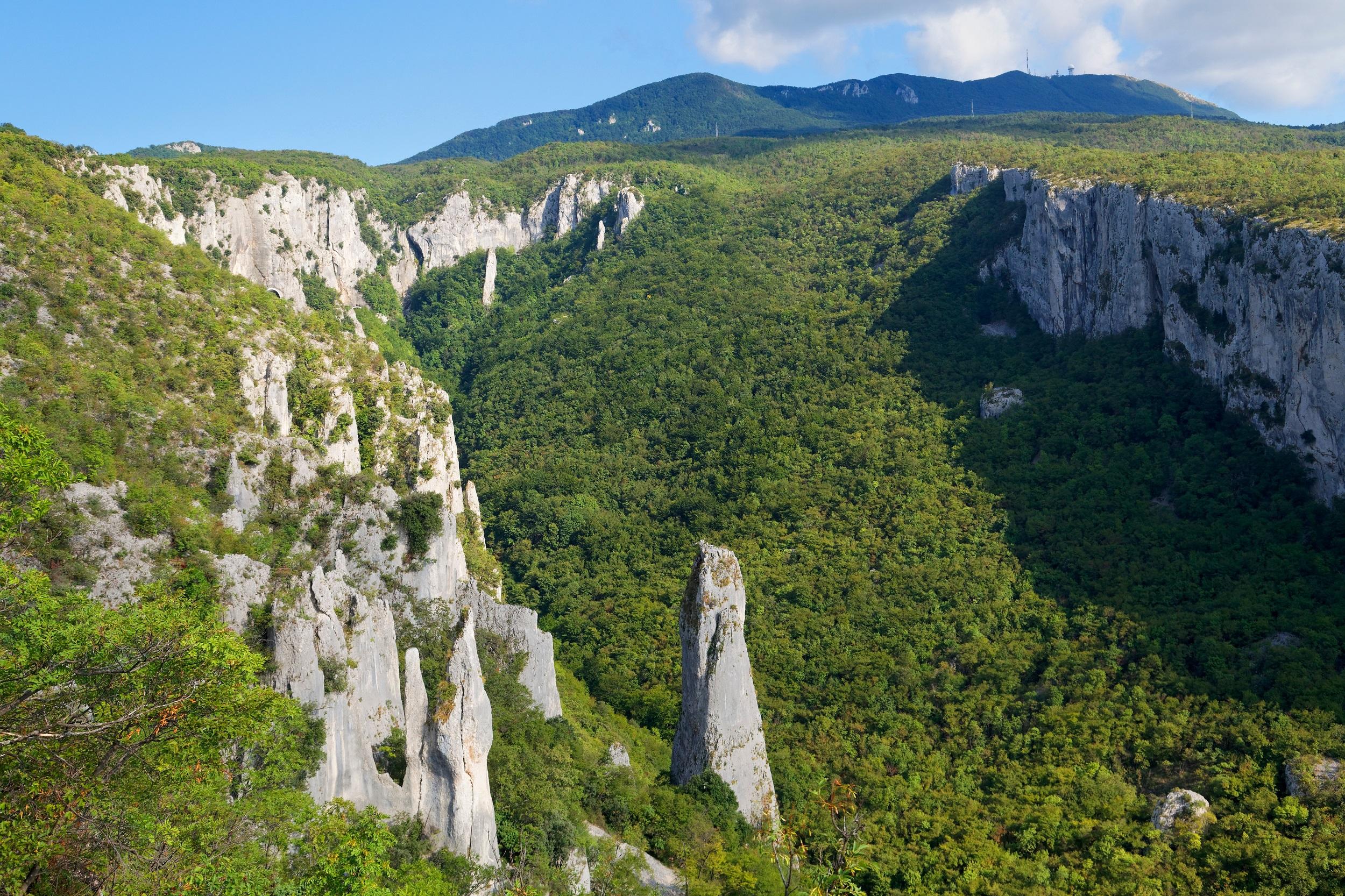 Croatie - Parc naturel d'Učka