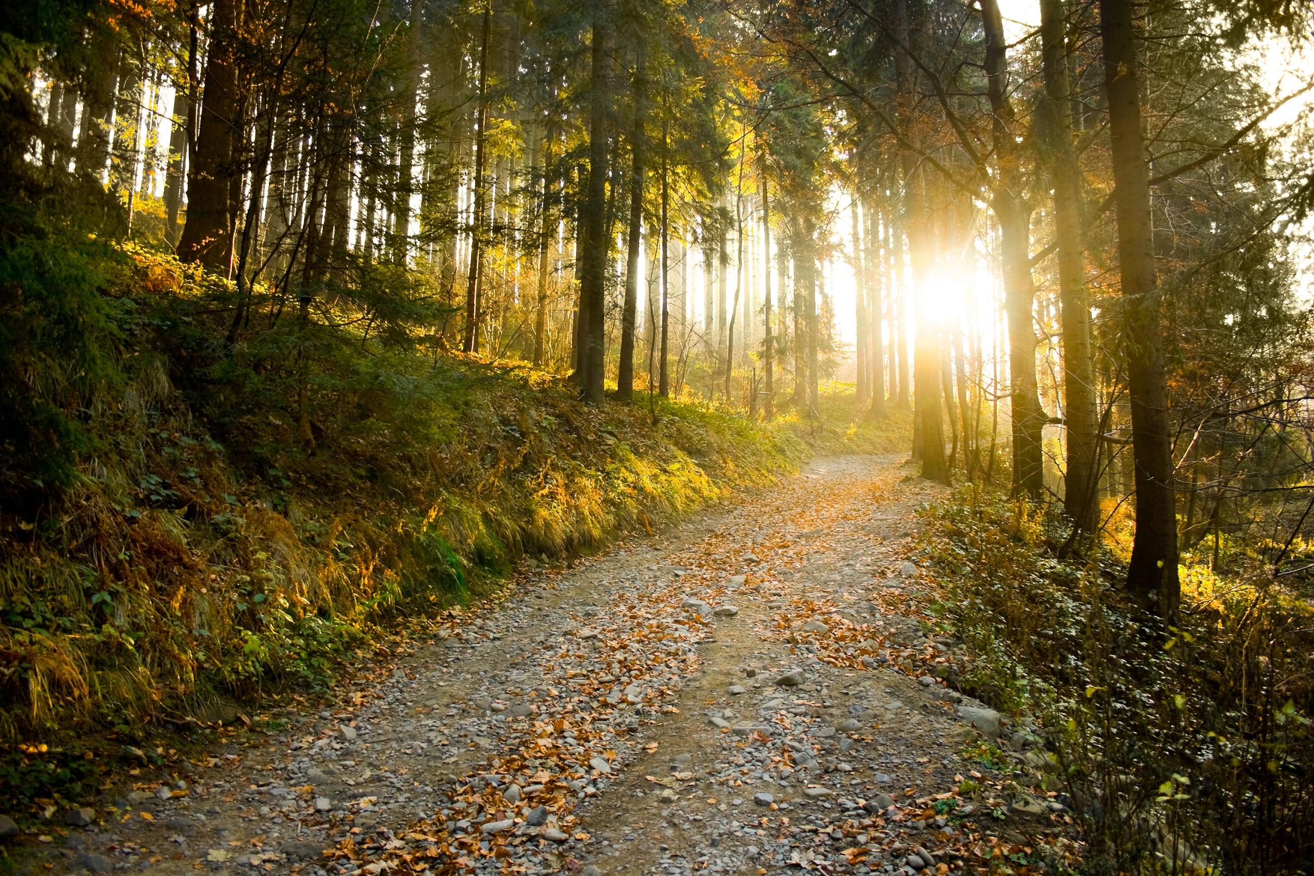 Tsjechië wandelen