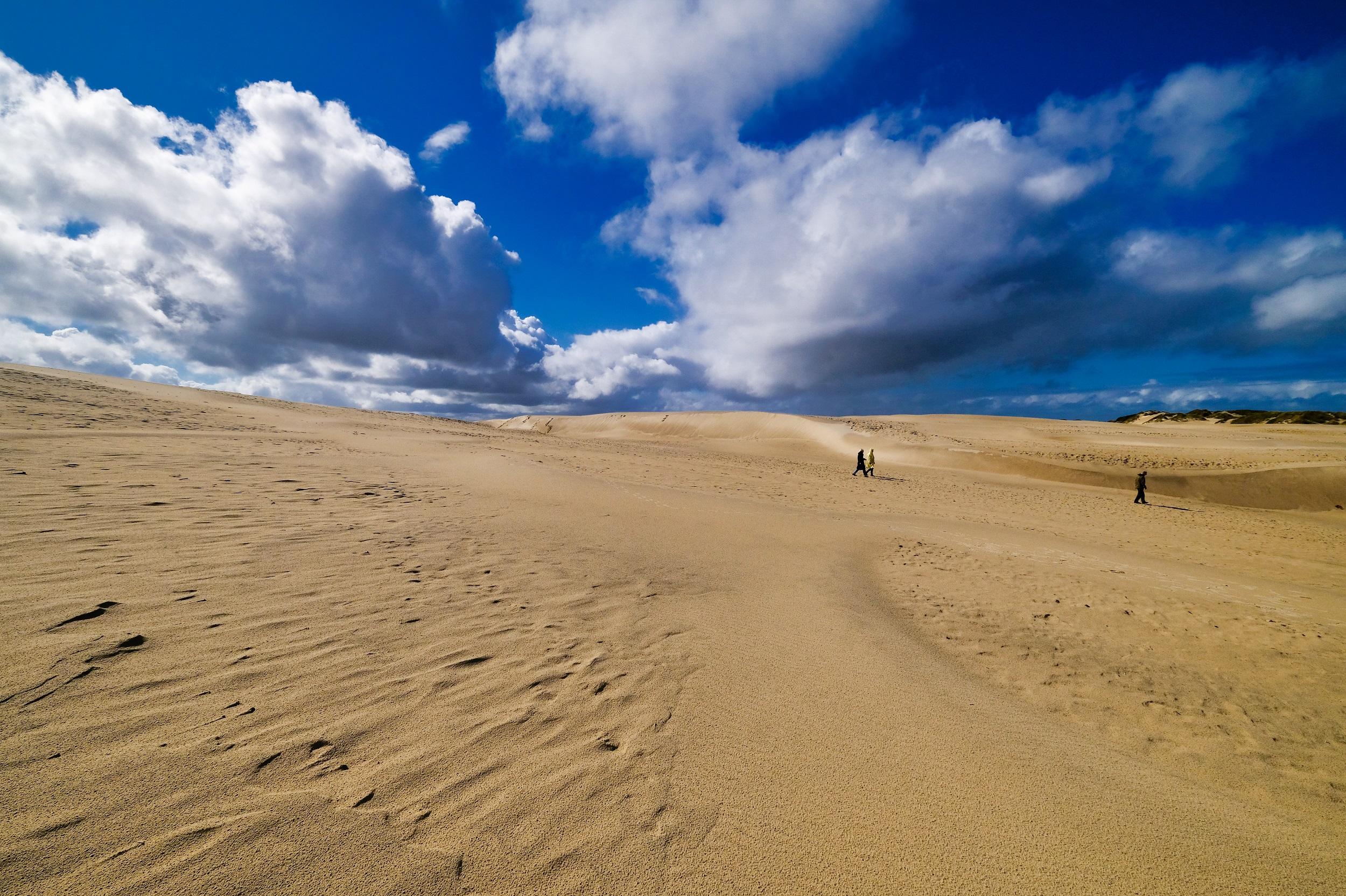 Dune de Råbjerg Mile 