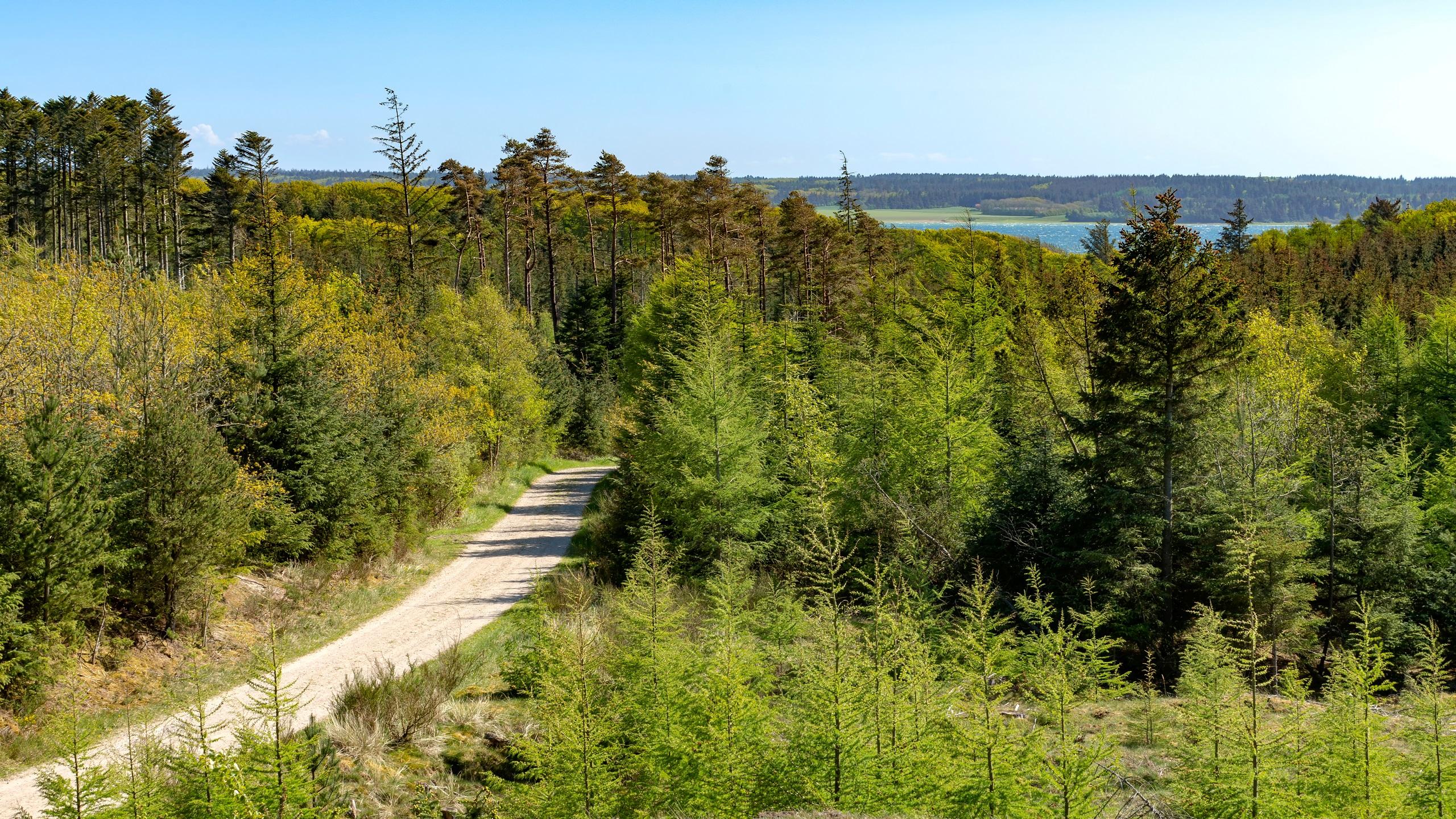 Nationaal park Thy