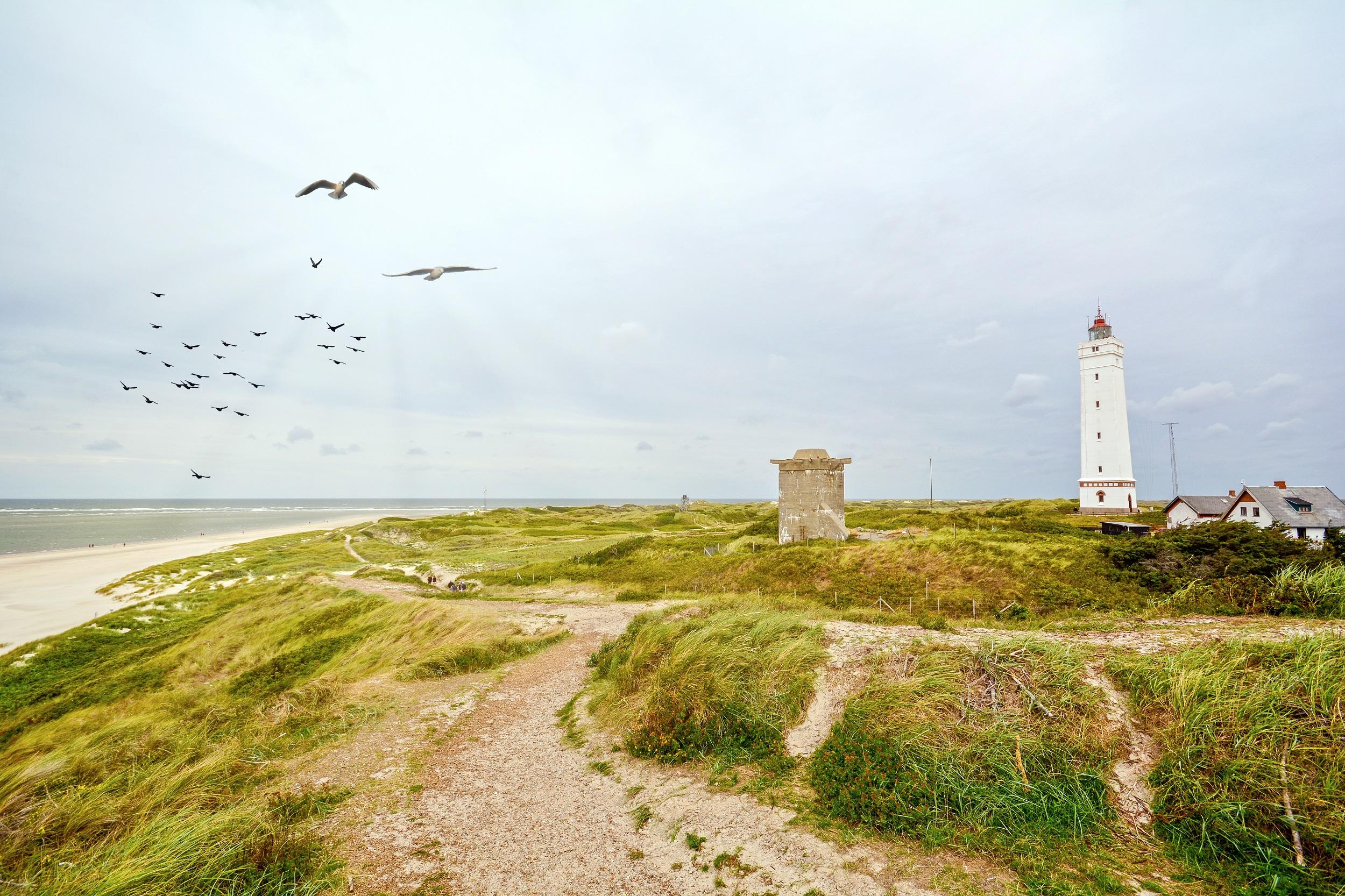 cote ouest du jutland blavand phare