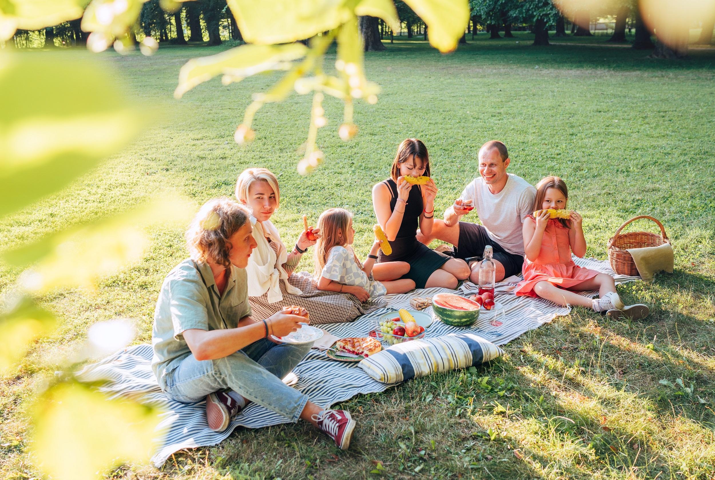 Familie sitzt auf der Picknickdecke
