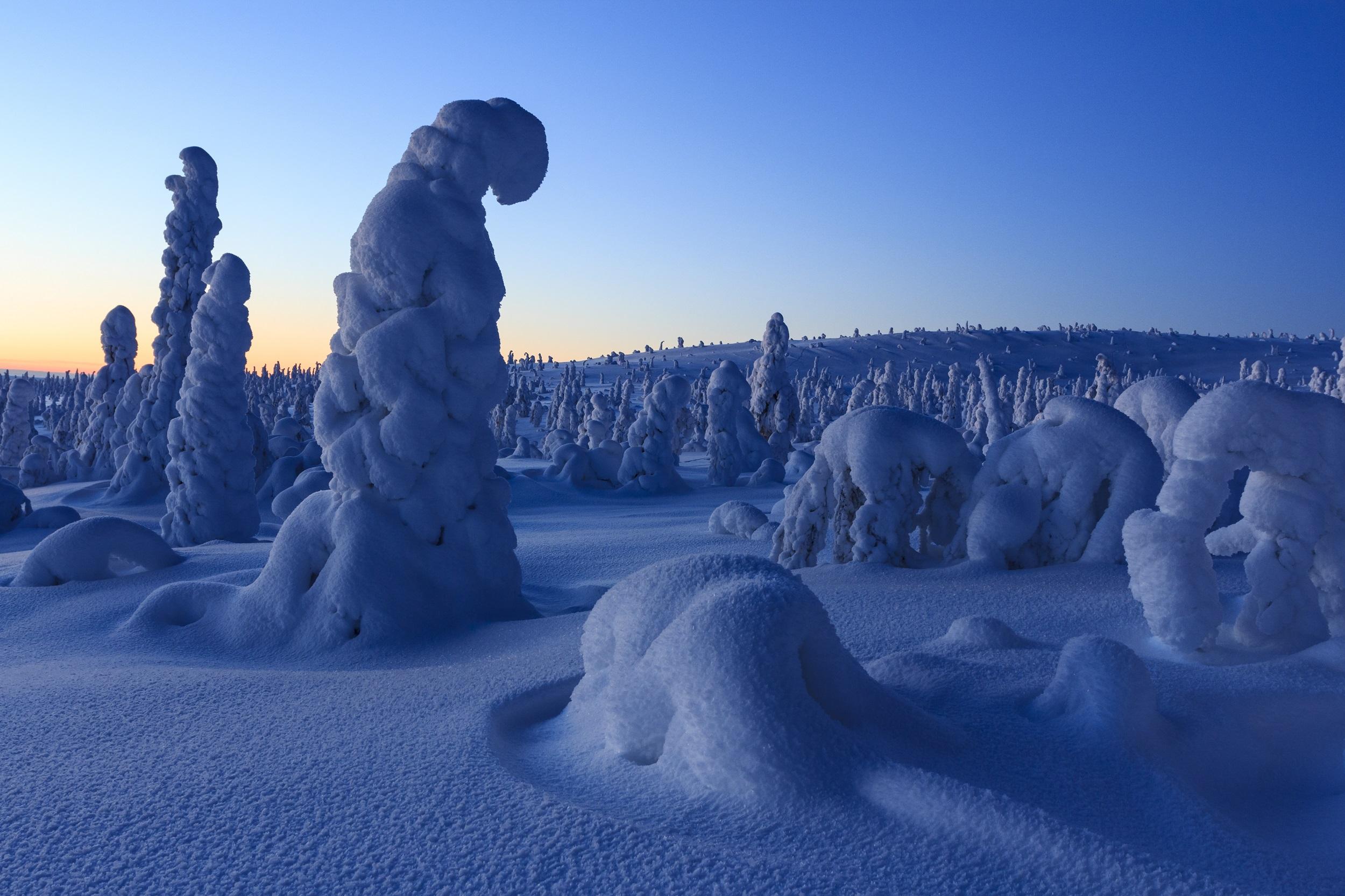 Finlande Laponie Parc national de Riisitunturi