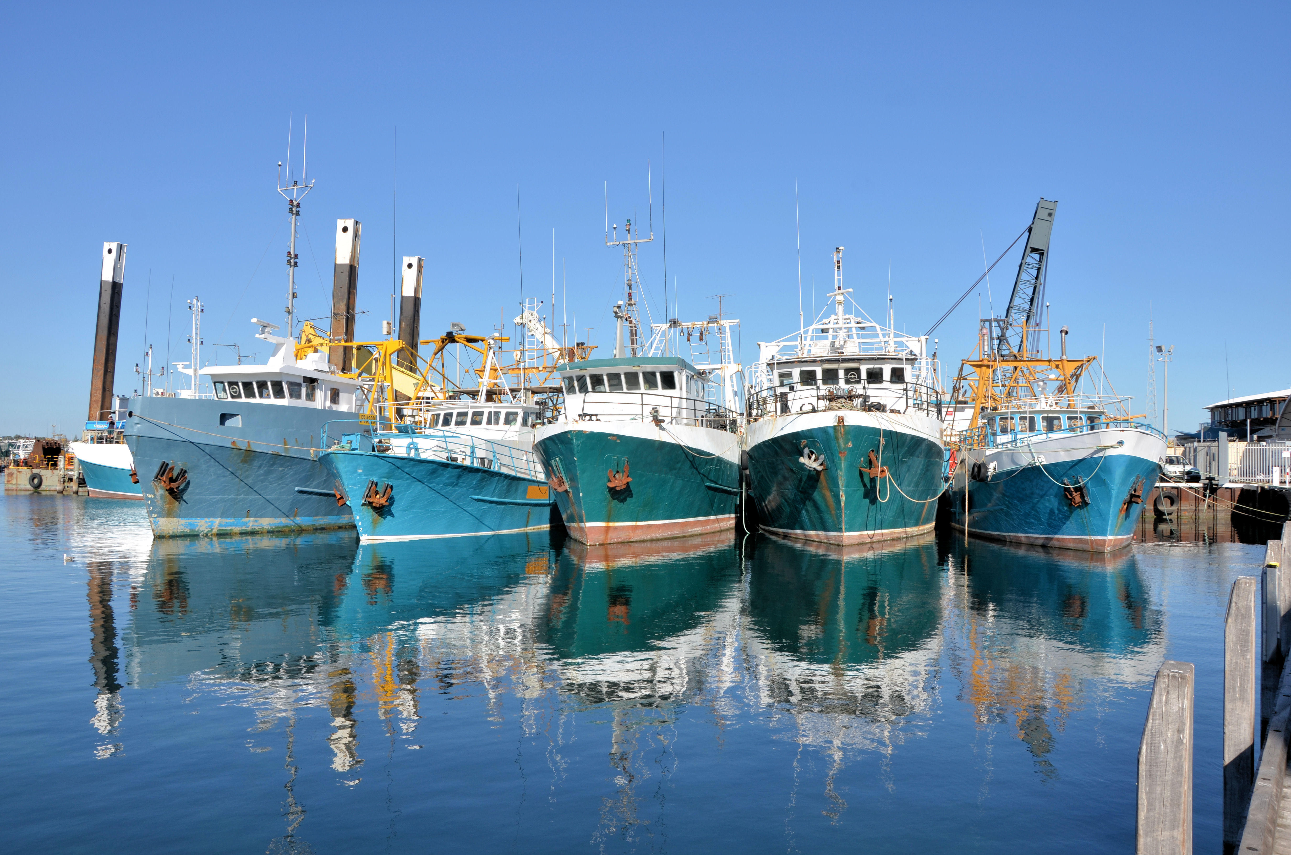 port-de-bateaux-de-peche