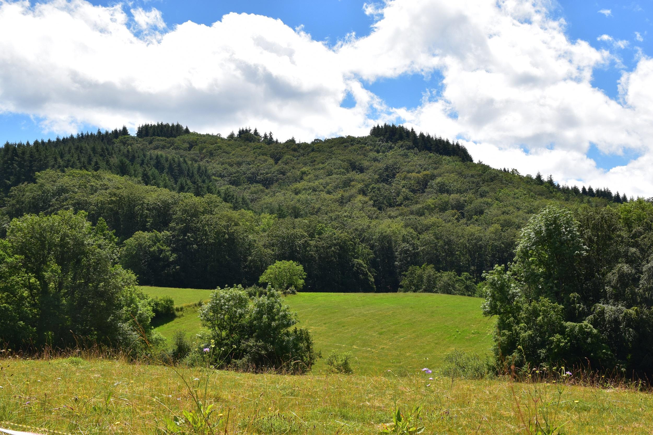Frankrijk Auvergne Regionaal Natuurpark Livradois-Forez