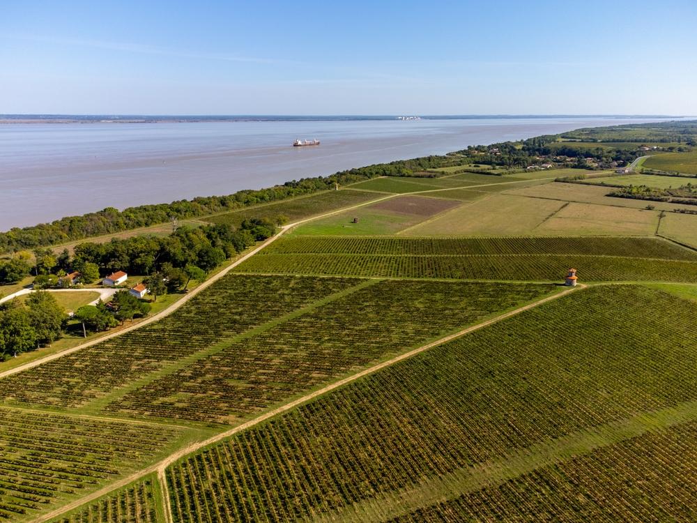 Frankreich Gironde Luftansicht auf grüne Weinberge