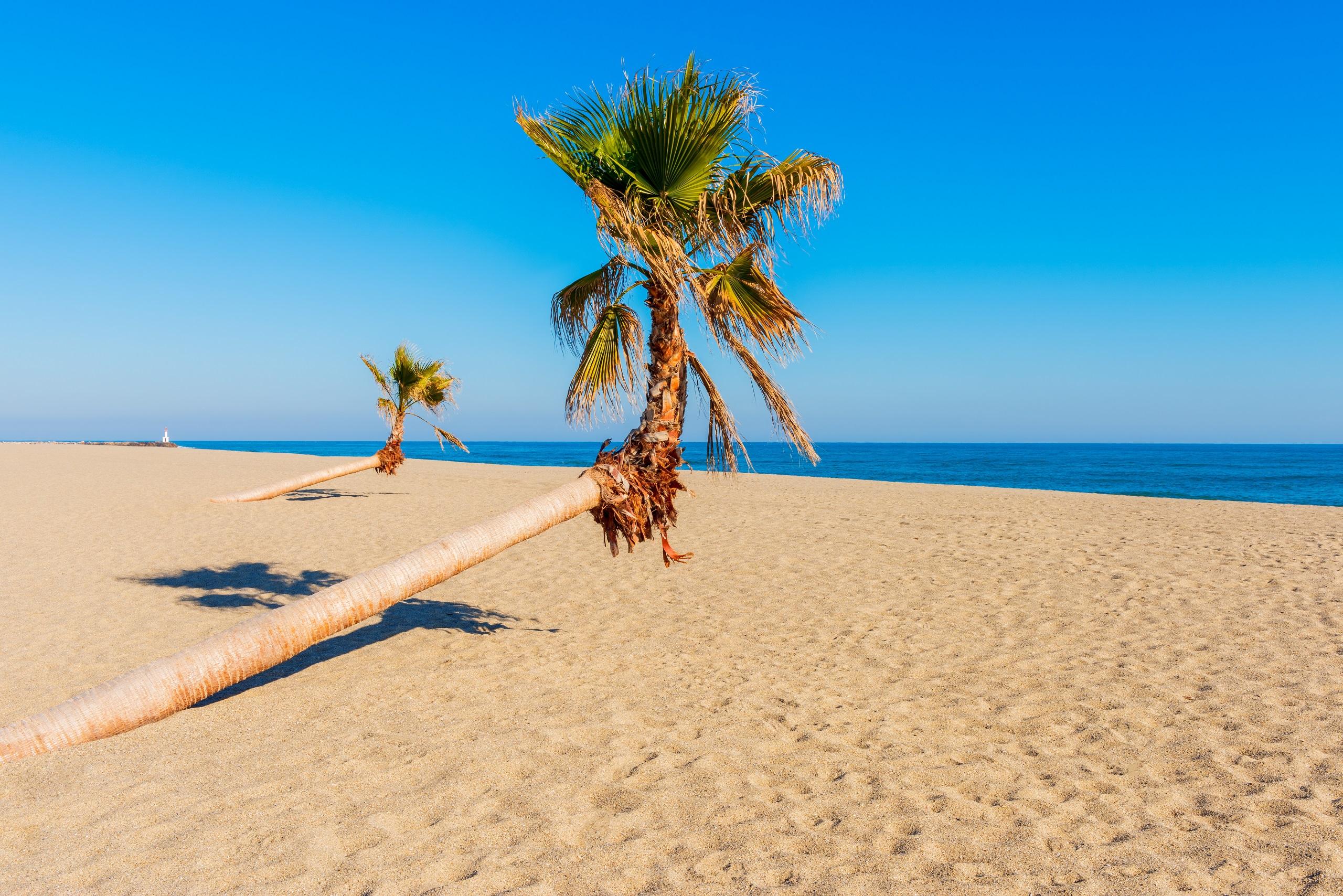 Plage du barcarès