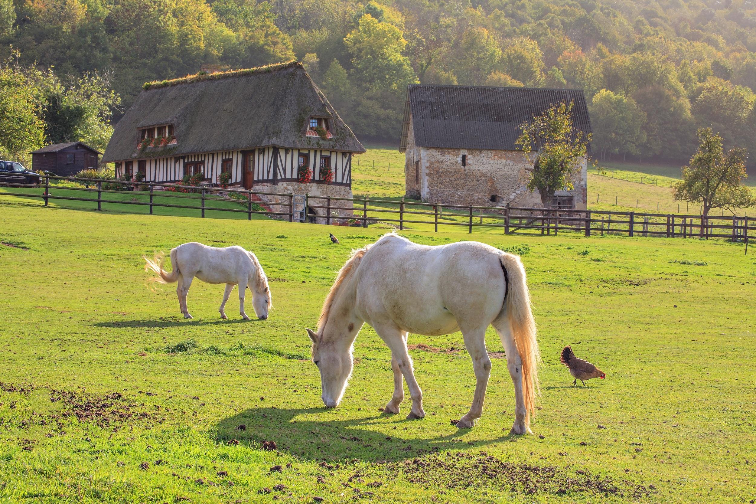 France - Marais Vernier