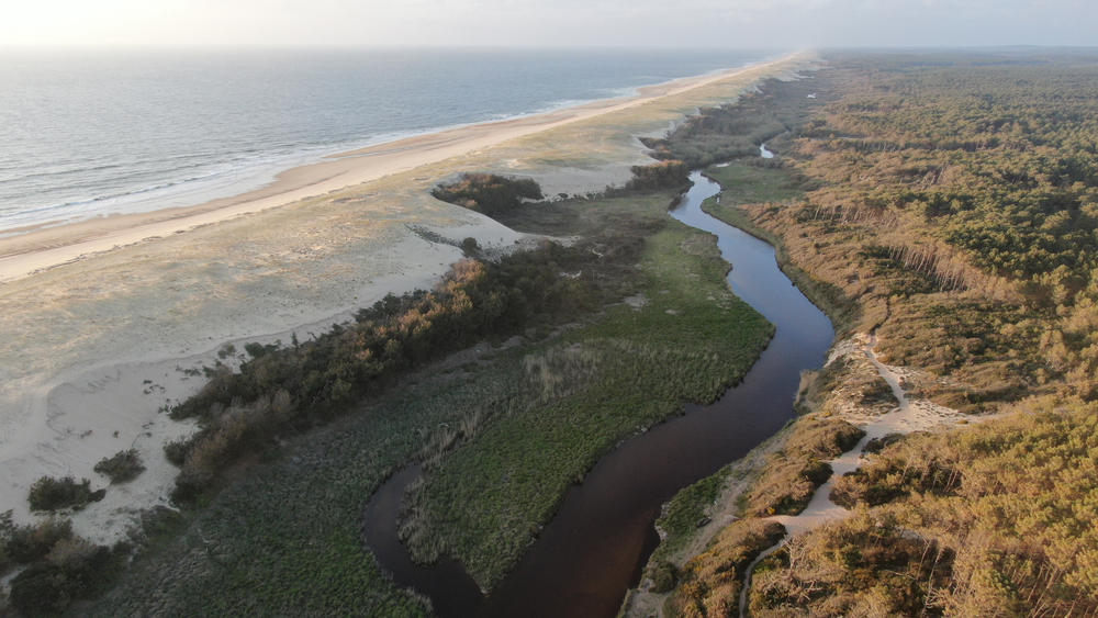 France Moliets Courant d'Huchet Réserve Naturelle