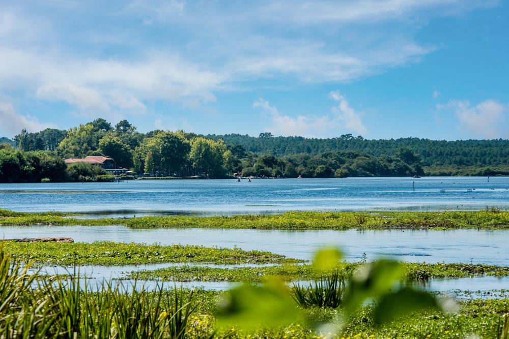 France Moliets Lac de Léon