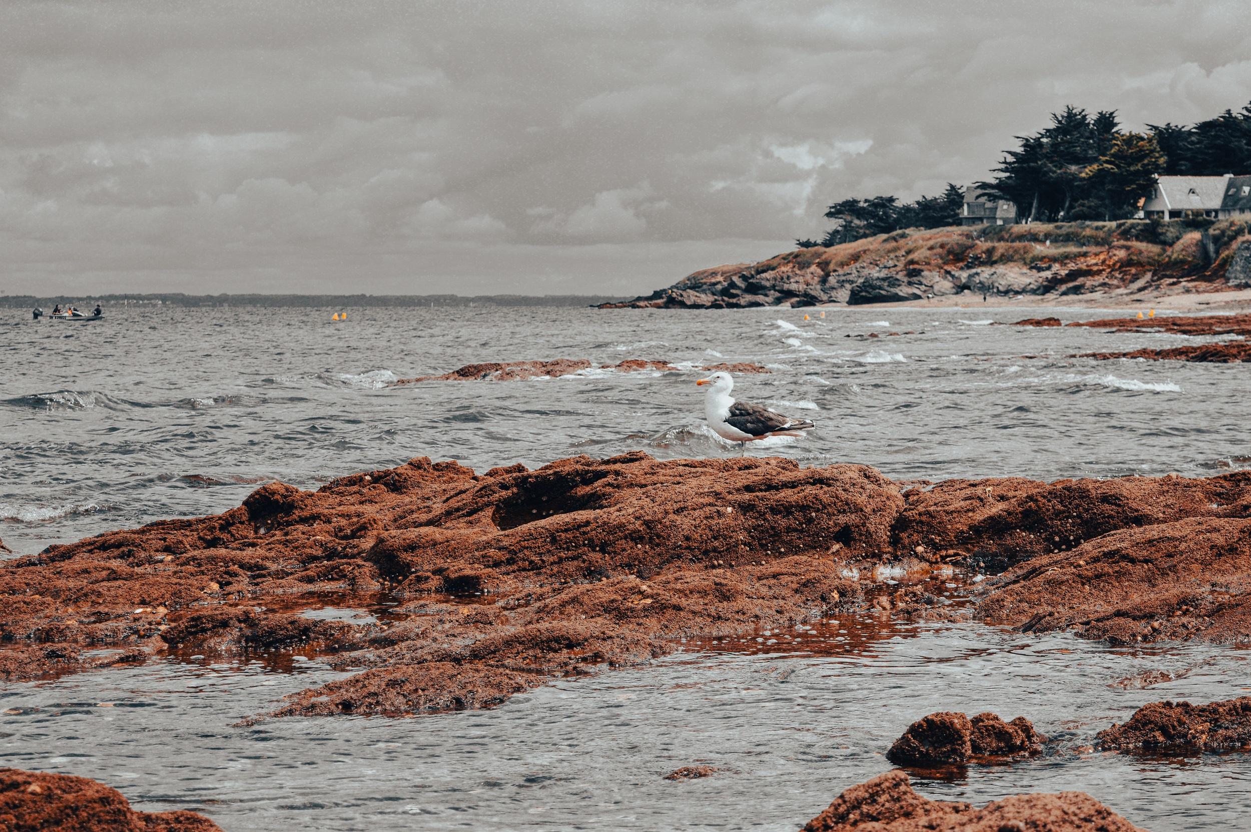 plage de priac sur mer