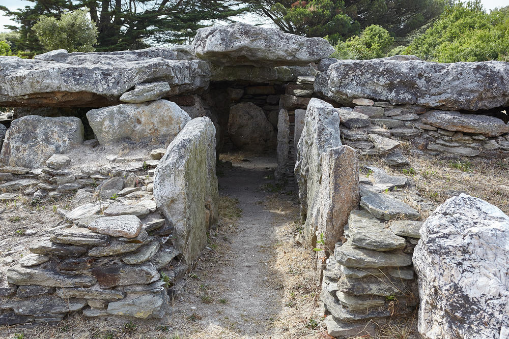 France Moliets Courant d'Huchet Réserve Naturelle