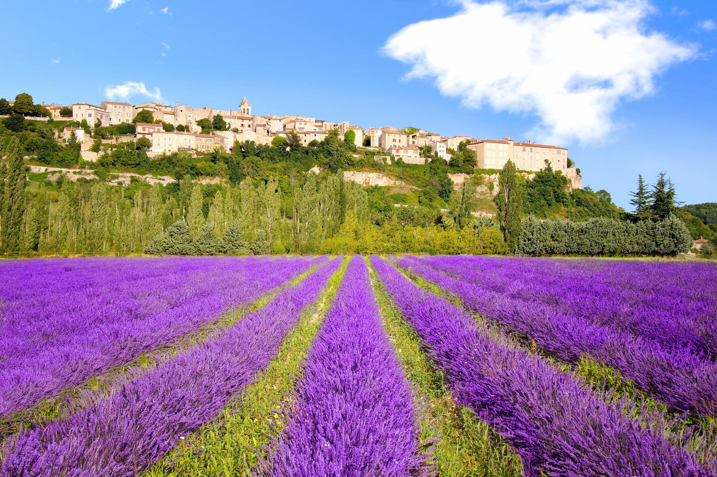 Frankreich-Provence-Sault