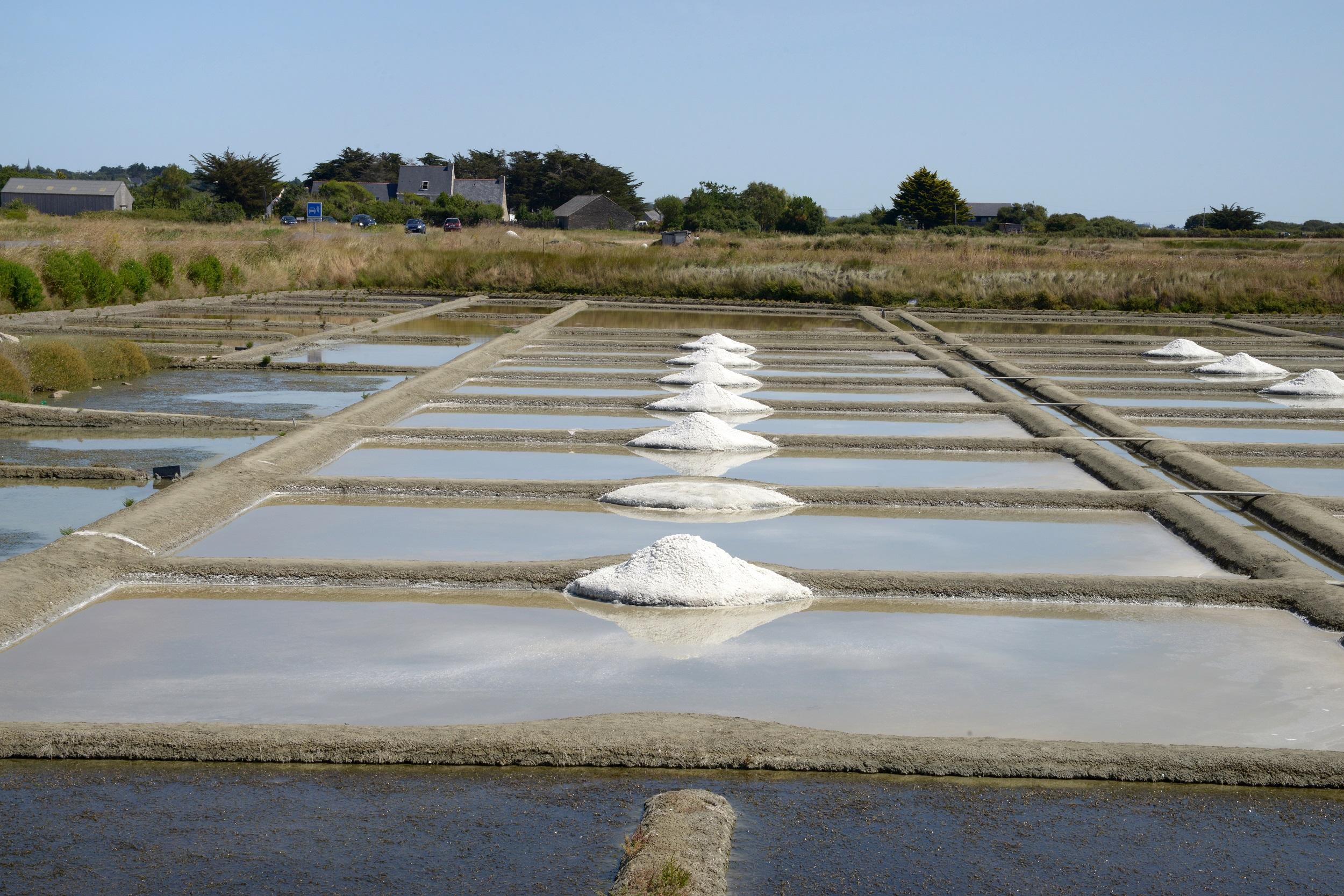 Frankreich Salzgärten von Guérande