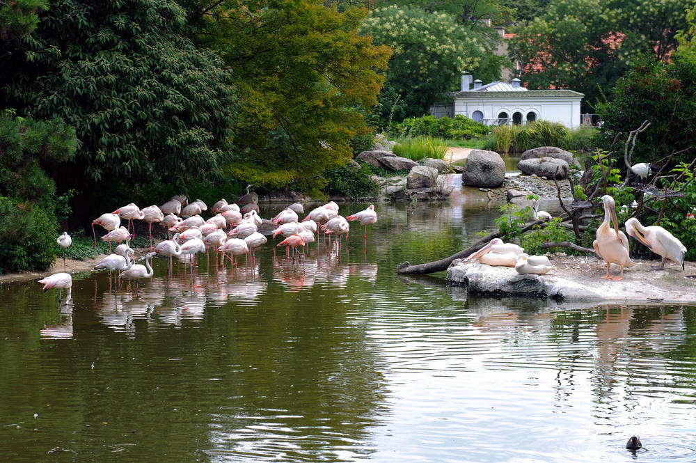 Frankrijk Sanary sur Mer ZOA Parc Animalier en Botanique