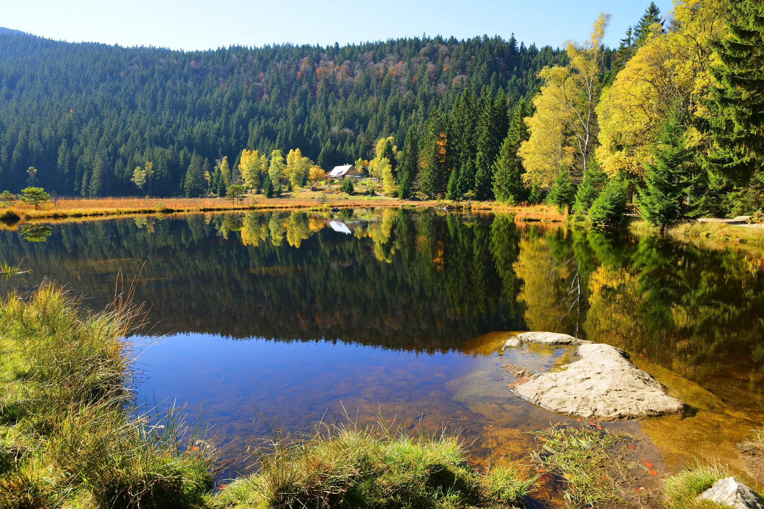 Allemagne Forêt Bavaroise Petit Lac Arber