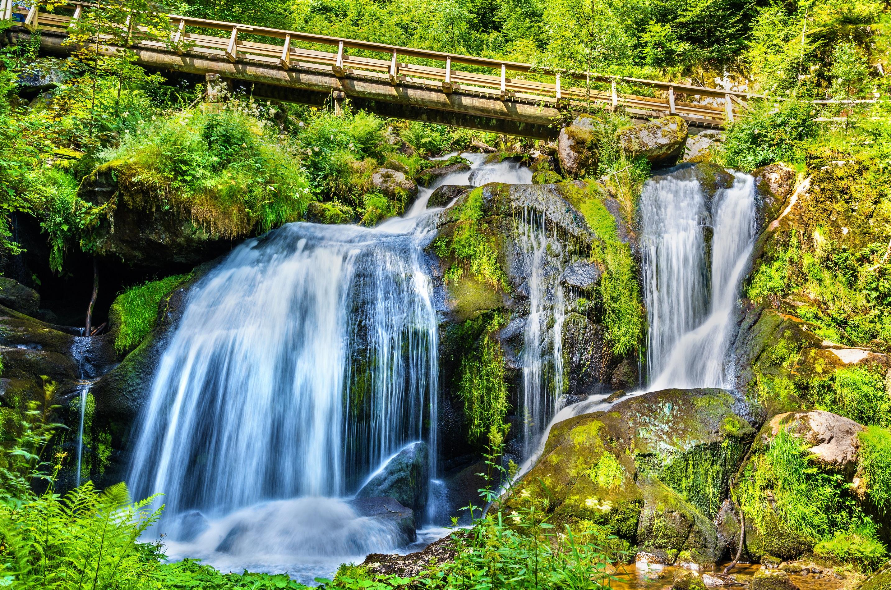 Holidays Black Forest The Best Travel Tips Holidays Black Forest The Best Travel Tips