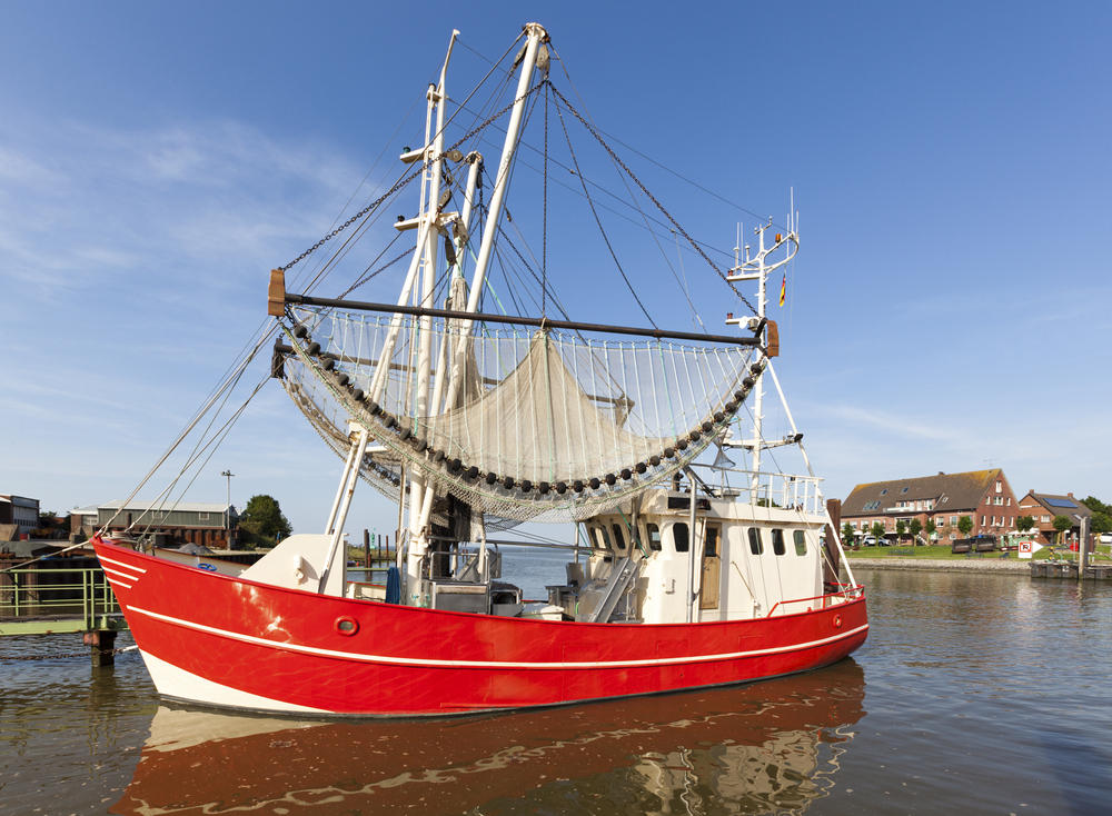 Allemagne Fedderwardersiel bateau de crevettes