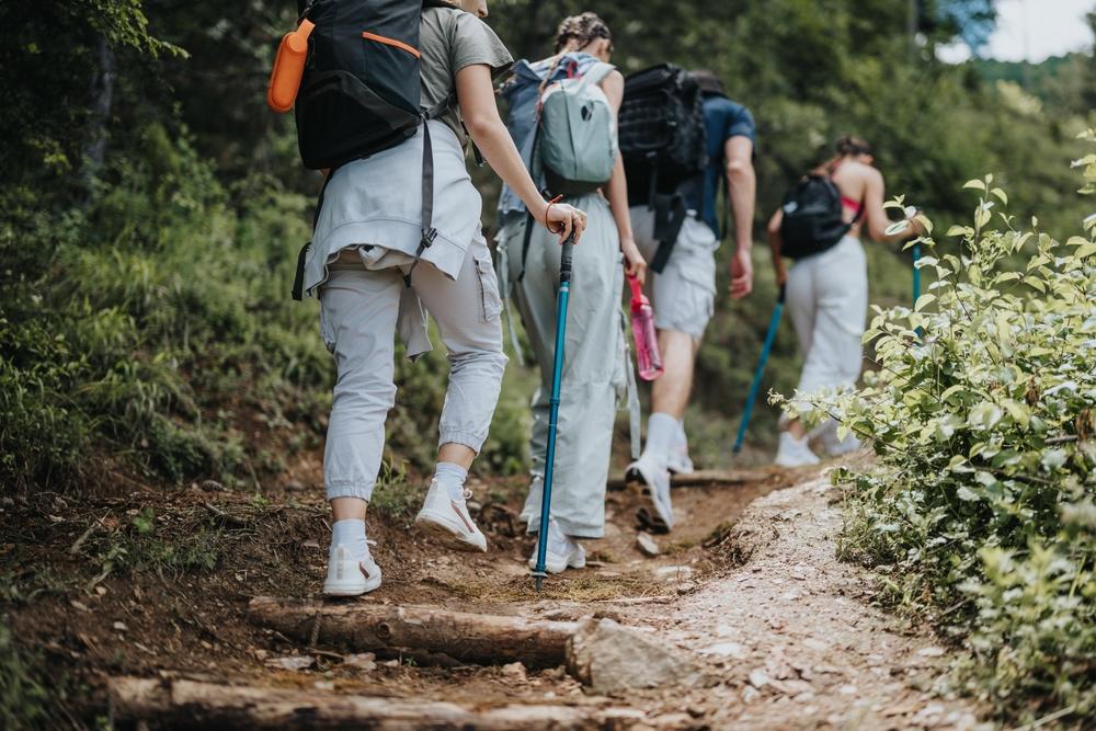 groupe d'amis en randonnée