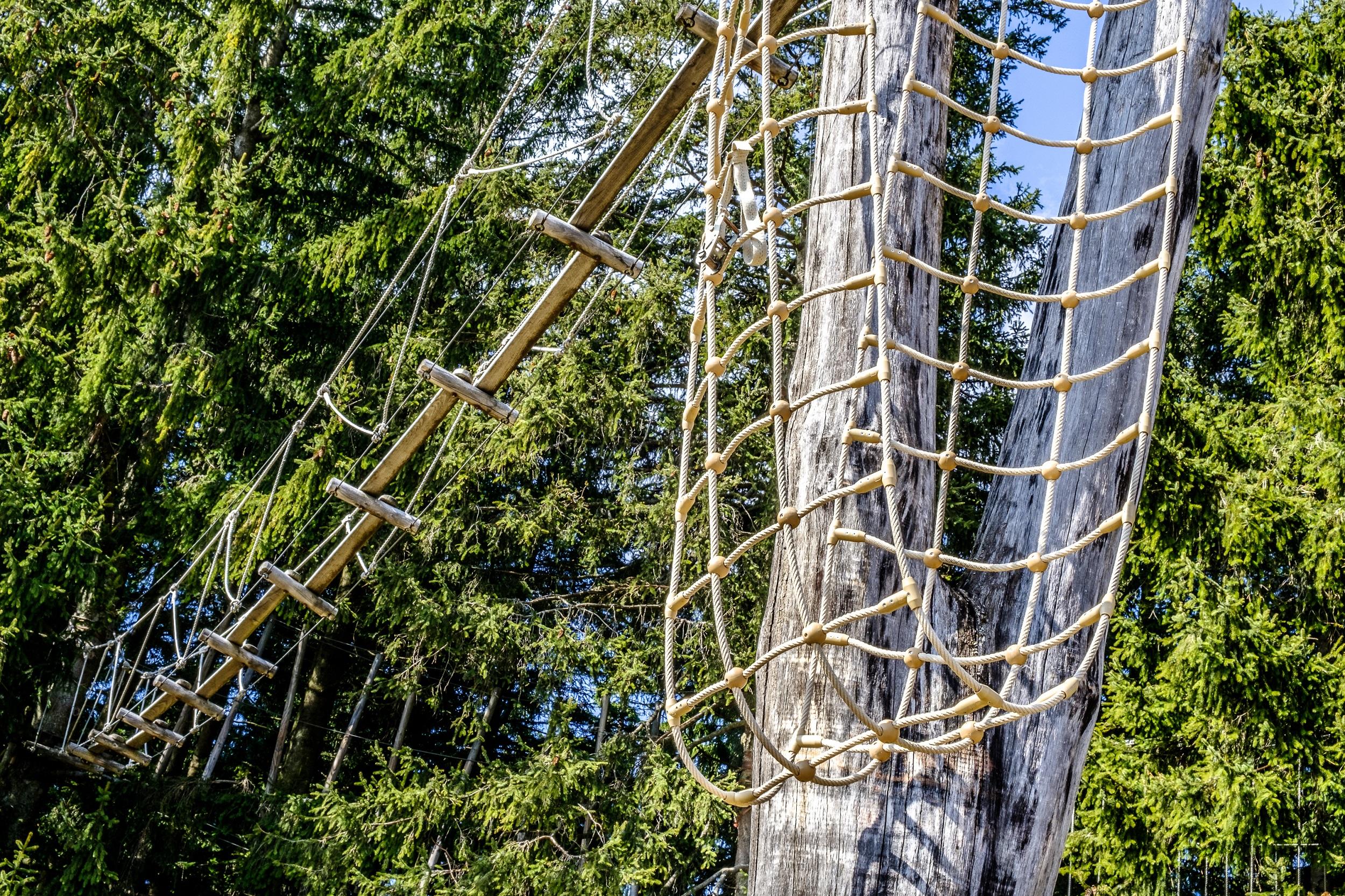 hoog touwparcours in het bos