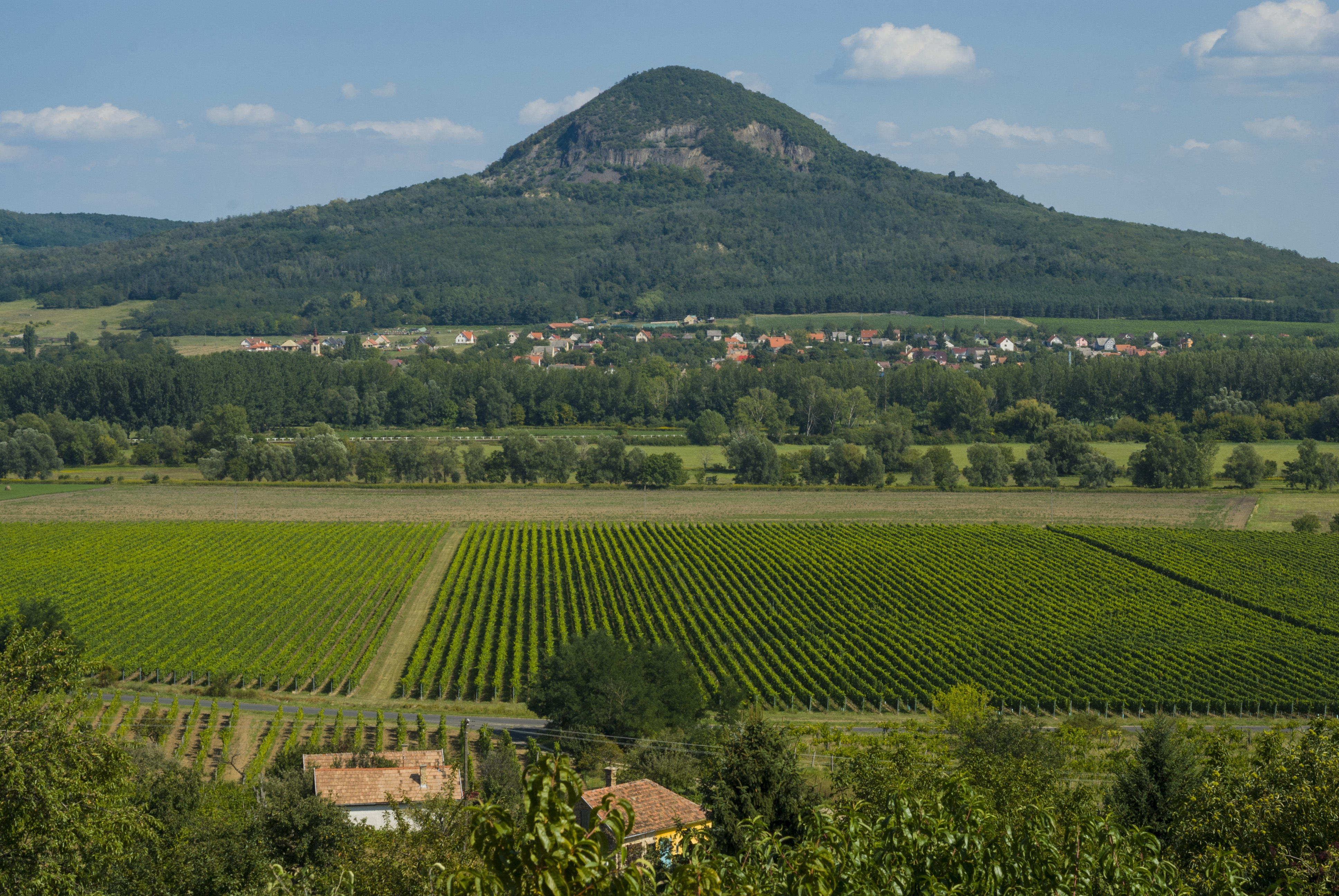 colline volcanique de Hungary-Gulacs