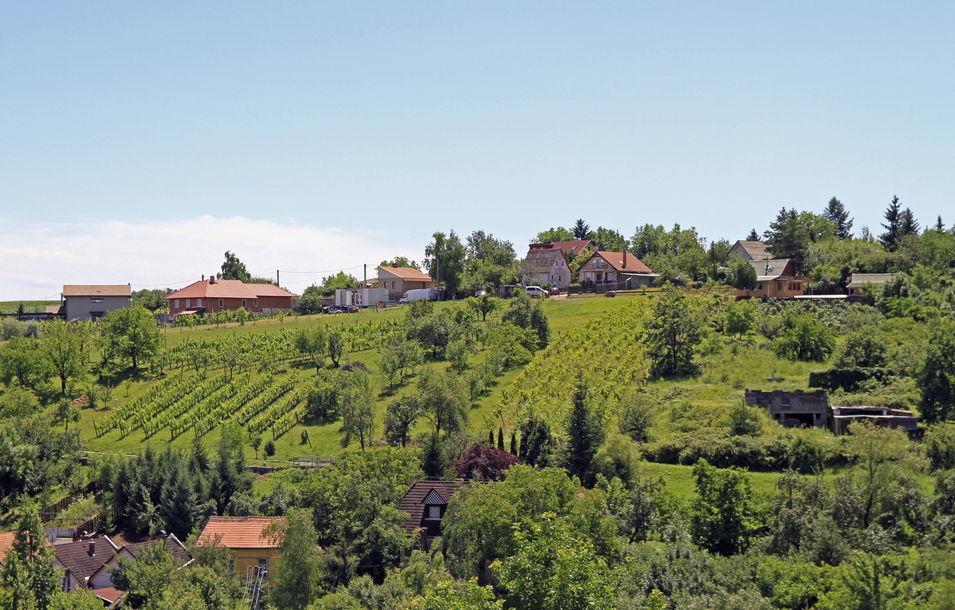 de heuvels van de Hongaarse wijngaarden in Eger