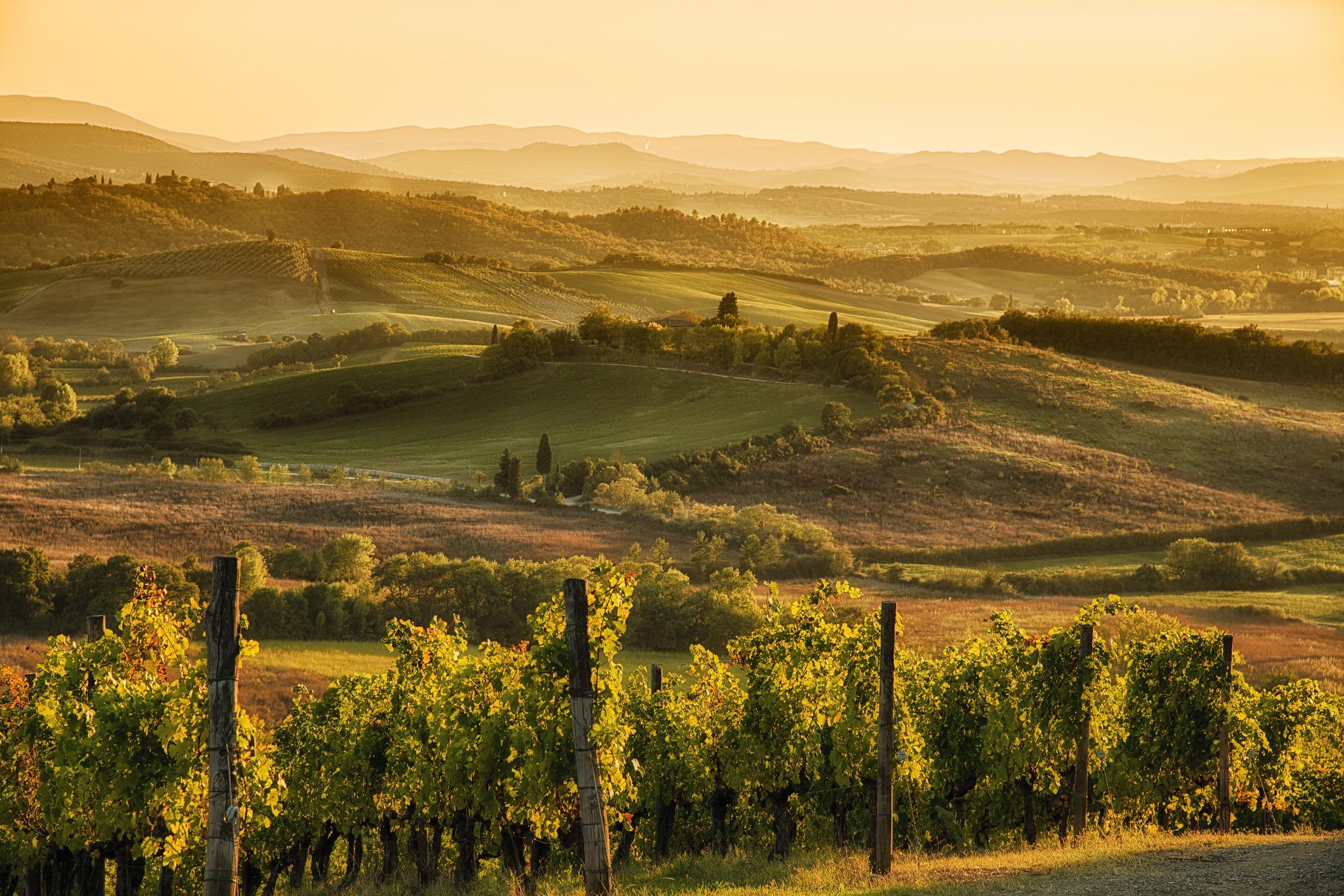 Italien - Chianti-Hügel