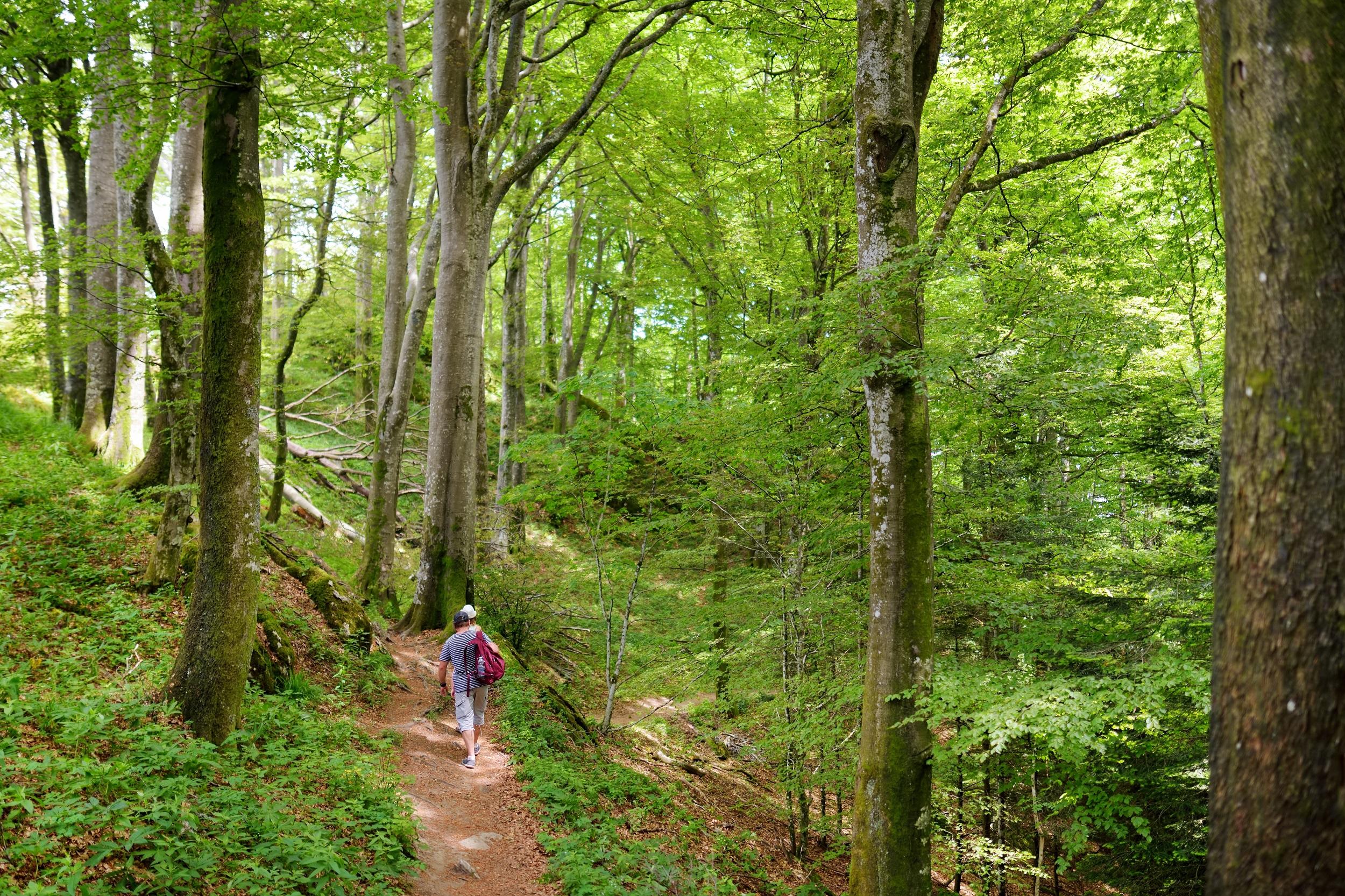 Italien - Naturreservat Sant'Agnes