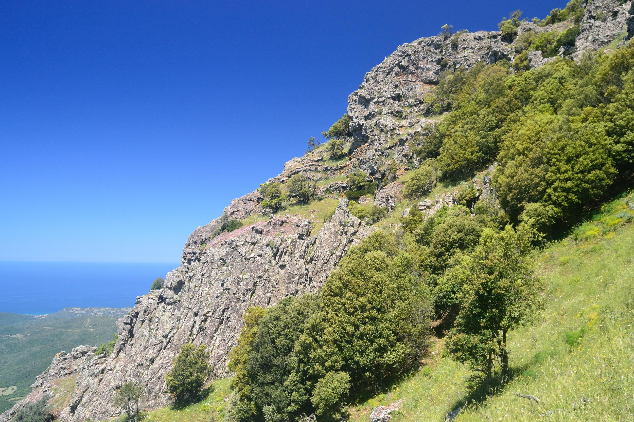Monte Arcuentu (Sardinien)