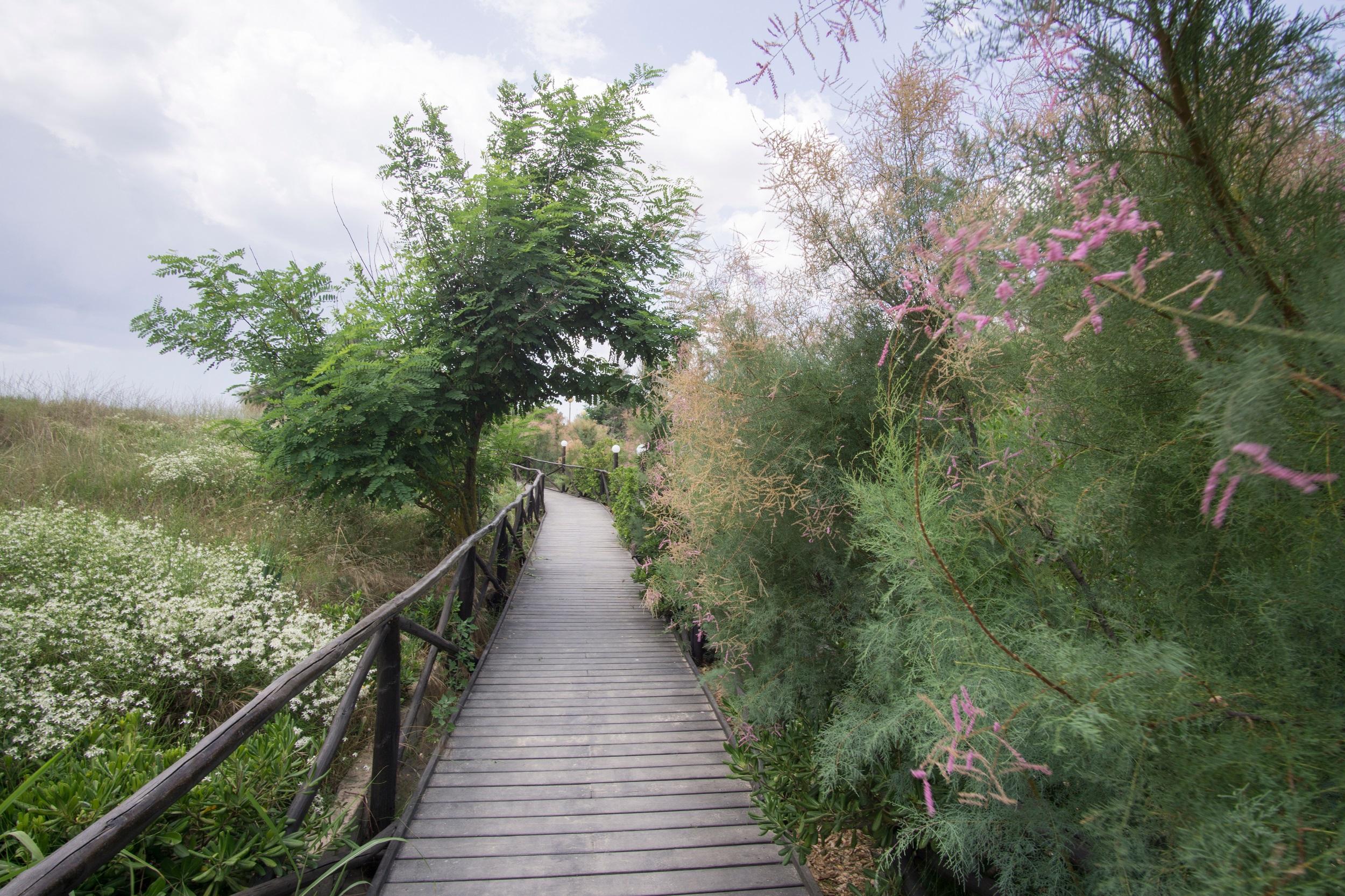 Italie - Parc côtier de Sterpaia