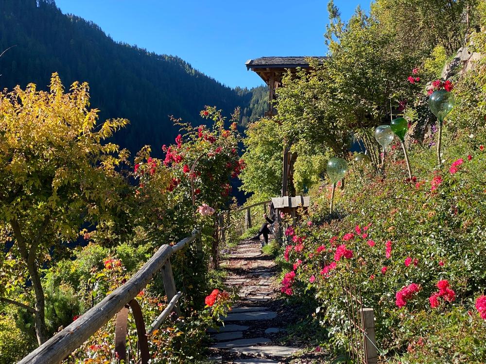 Italië Uhrerhof Rozentuin