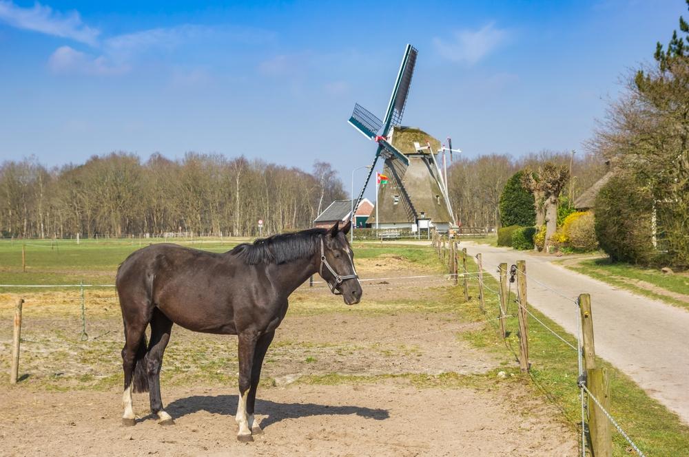 Pays-Bas Oudemolen Moulin à vent