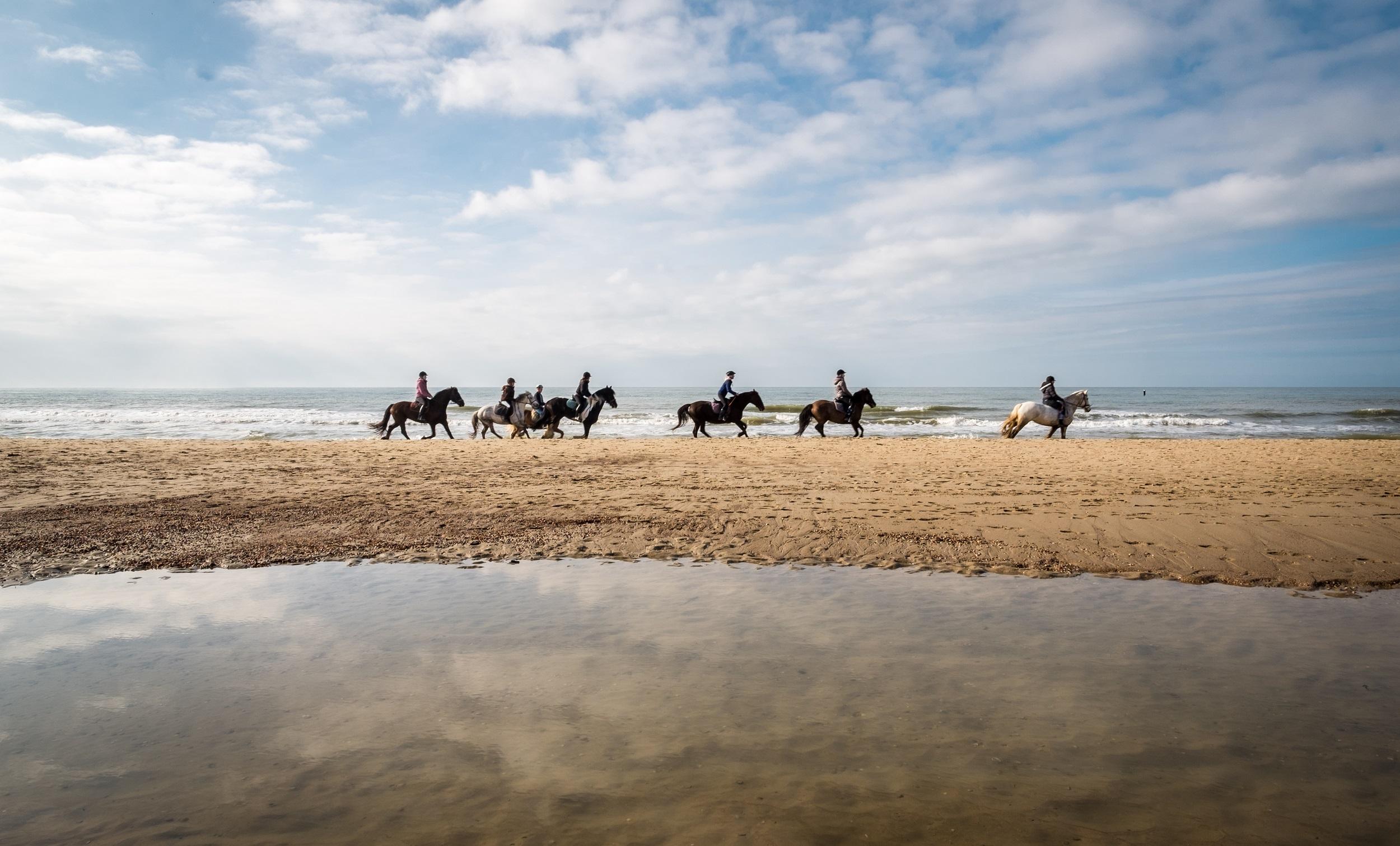 Nederland Zeeland Domburg Paarden op het strand