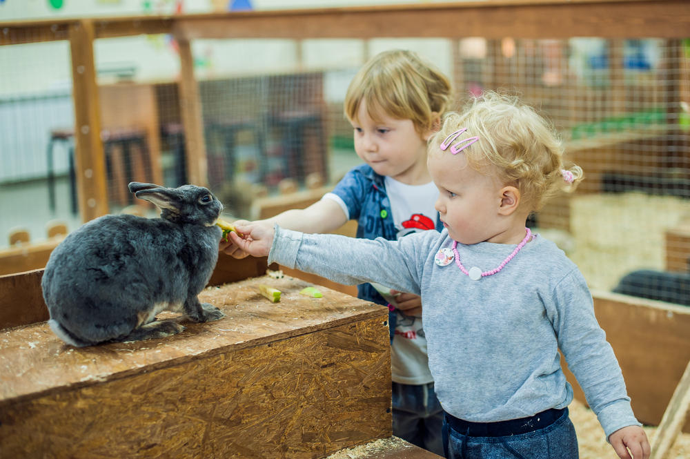 kinderboerderij