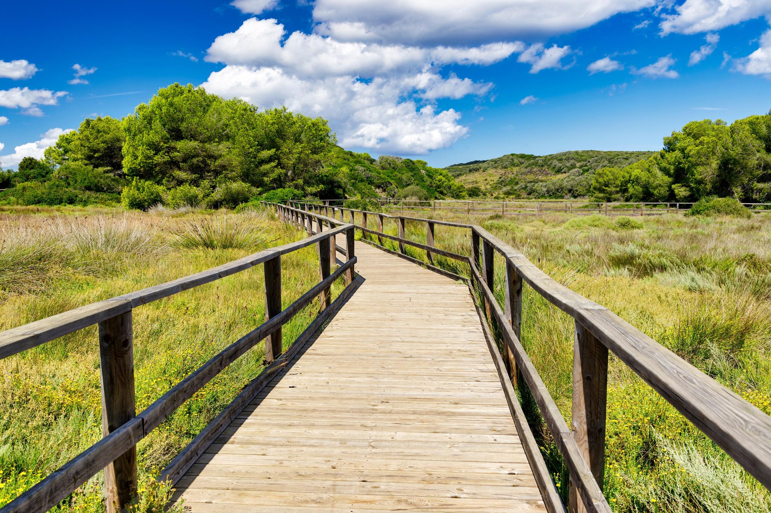 Spanien Balearen Naturpark s'Albufera des Grau Menorca